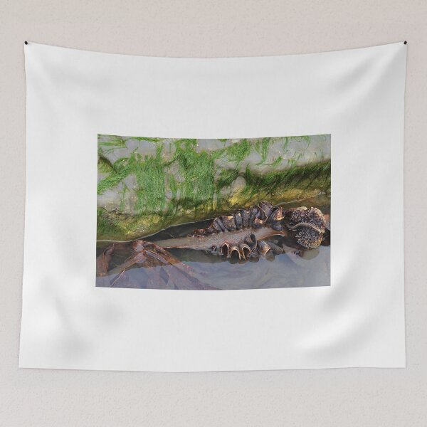 Item preview, Monster of the  Sea.......... designed and sold by lynn carter.