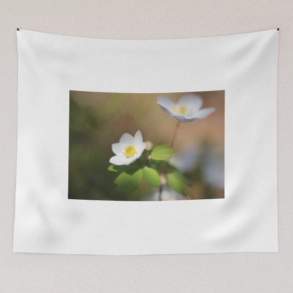 Item preview, Springtime Anemone designed and sold by ztrnorge.