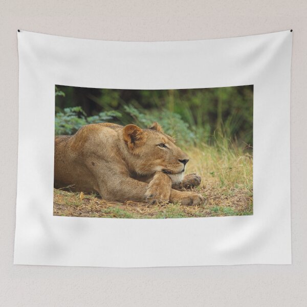Item preview, Contemplating life designed and sold by safarimack.