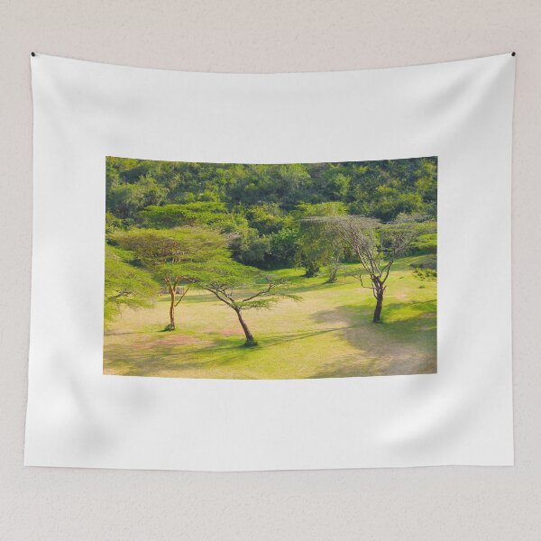 Item preview, Masai Lodge Park, KENYA designed and sold by Bruno Beach.