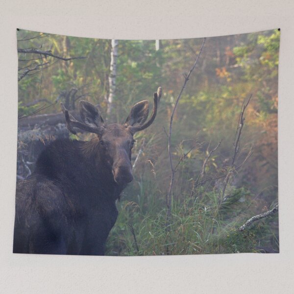 Item preview, Maine Bull Moose in the woods at dawn designed and sold by Enola Gay Wagner.