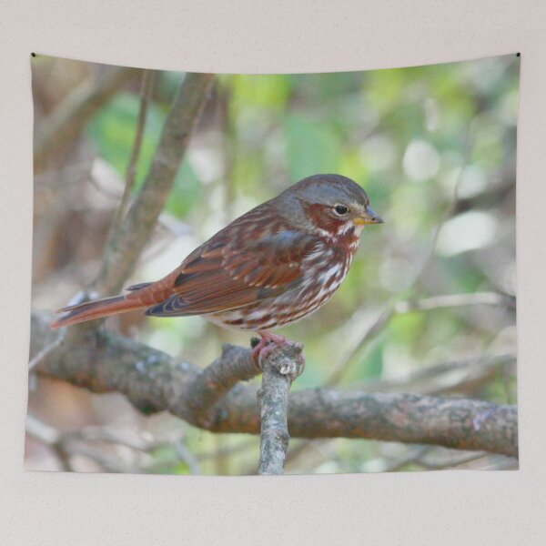 Item preview, Fox Sparrow designed and sold by Enola Gay Wagner.