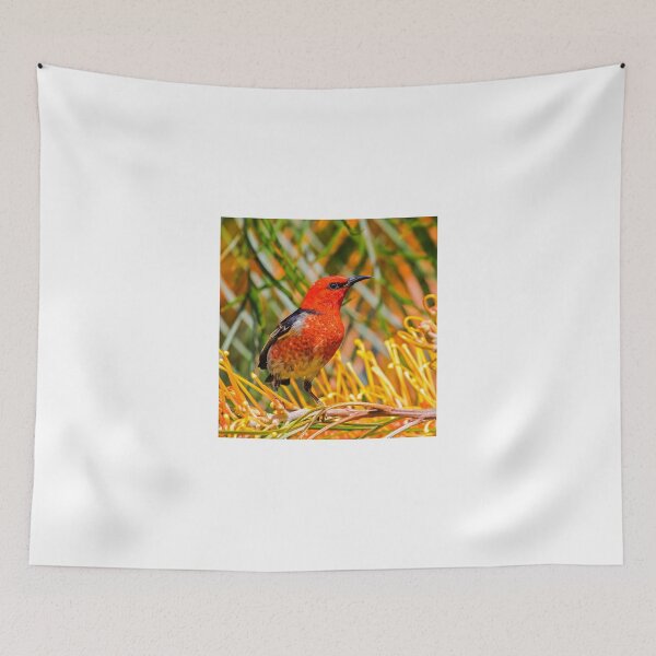 Item preview, Scarlet Honeyeater designed and sold by bidkev1.
