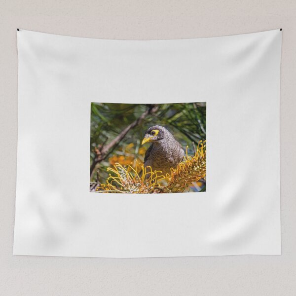 Item preview, Noisy Miner designed and sold by bidkev1.