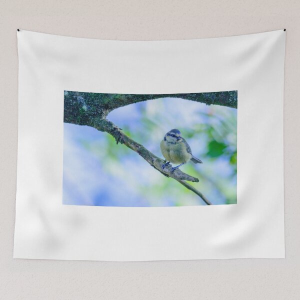 Item preview, Bluetit waiting its chance designed and sold by AndrewJonesFoto.