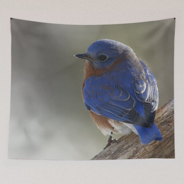 Item preview, Eastern Bluebird designed and sold by Enola Gay Wagner.