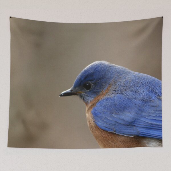 Item preview, Eastern Bluebird designed and sold by Enola Gay Wagner.