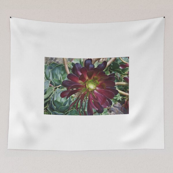 Item preview, Cactus Flower at Quarry Gardens designed and sold by lezvee.