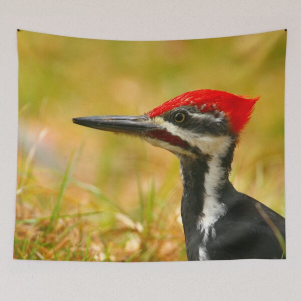 Item preview, Pileated Woodpecker designed and sold by Enola Gay Wagner.