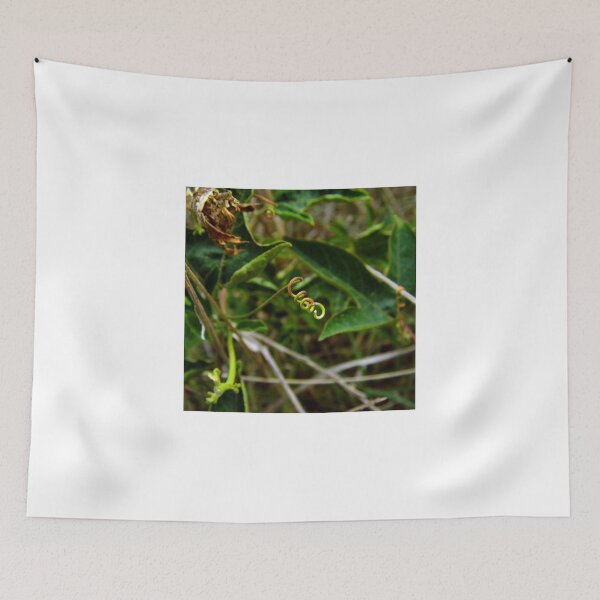 Item preview, Coiled And Ready designed and sold by WildestArt.