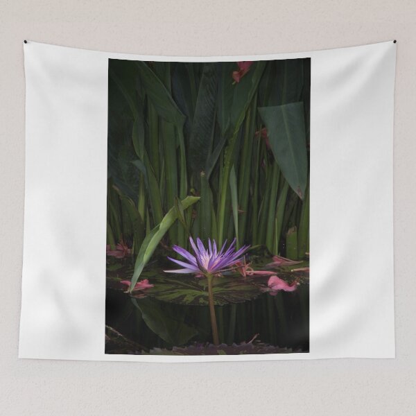 Item preview, Star in the Jungle designed and sold by Adam Bykowski.