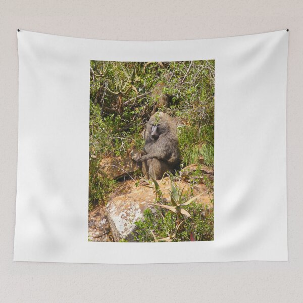 Item preview, Baboon designed and sold by Bruno Beach.