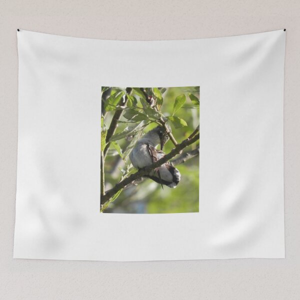 Item preview, Preening Hummer designed and sold by Martha Medford.
