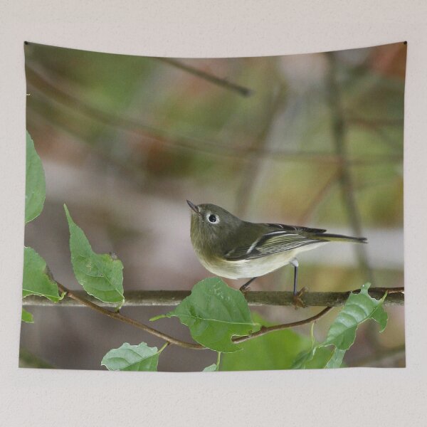 Item preview, Kinglet designed and sold by Enola Gay Wagner.