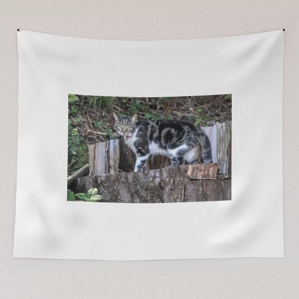 Item preview, Wary Cat.......... designed and sold by lynn carter.