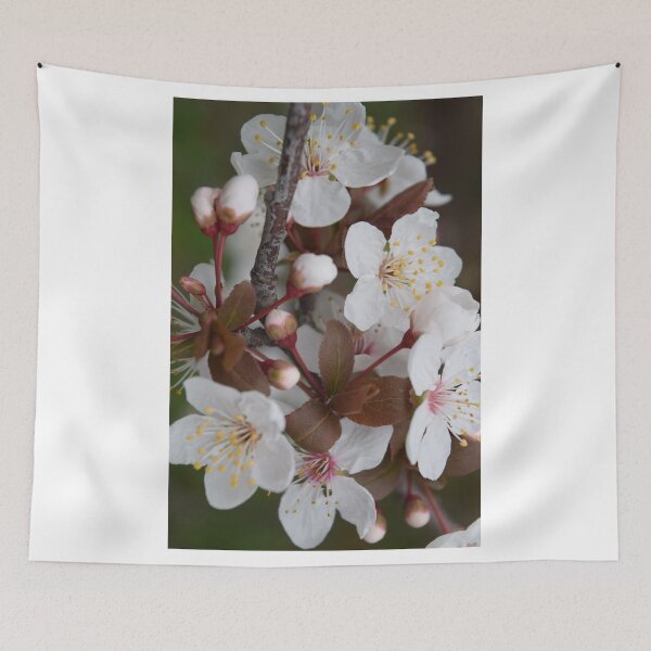 Item preview, Cherry plum blossom designed and sold by Caroline Everett.