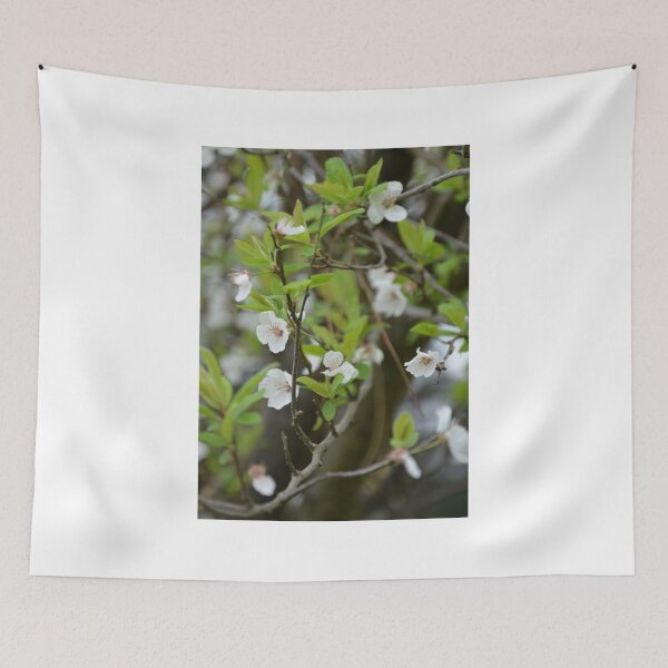 Item preview, FIRST BLOSSOMS designed and sold by kazaroodie.