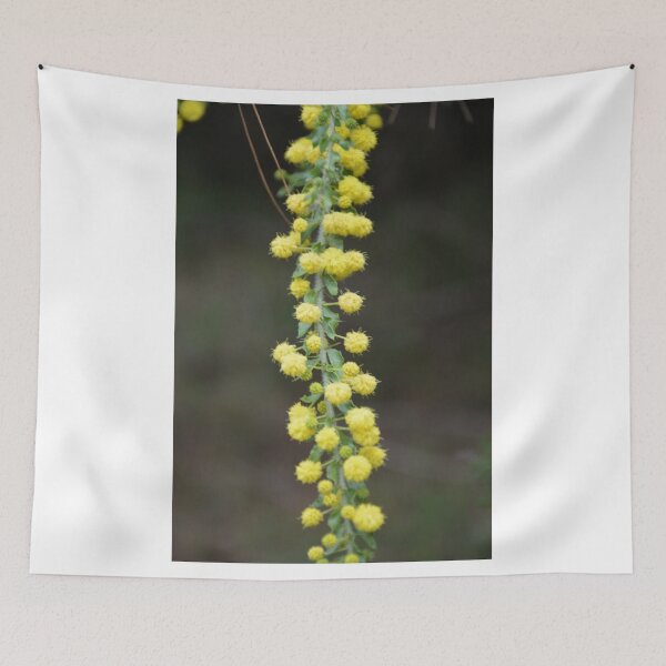 Item preview, AUSTRALIAN NATIVE WATTLE designed and sold by kazaroodie.