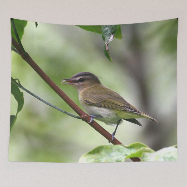 Item preview, Red-eyed Vireo designed and sold by Enola Gay Wagner.