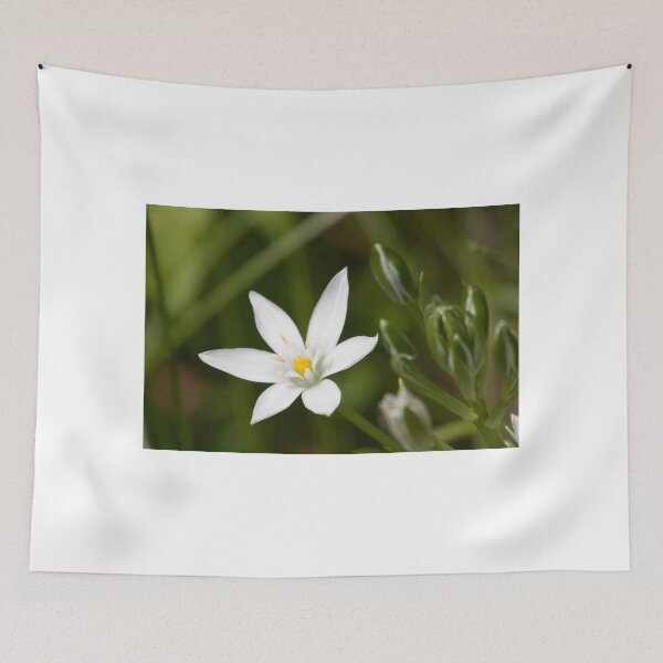 Item preview, Star Of Bethlehem designed and sold by EugeJ.