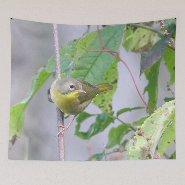 Item preview, Common Yellowthroat  designed and sold by Enola Gay Wagner.