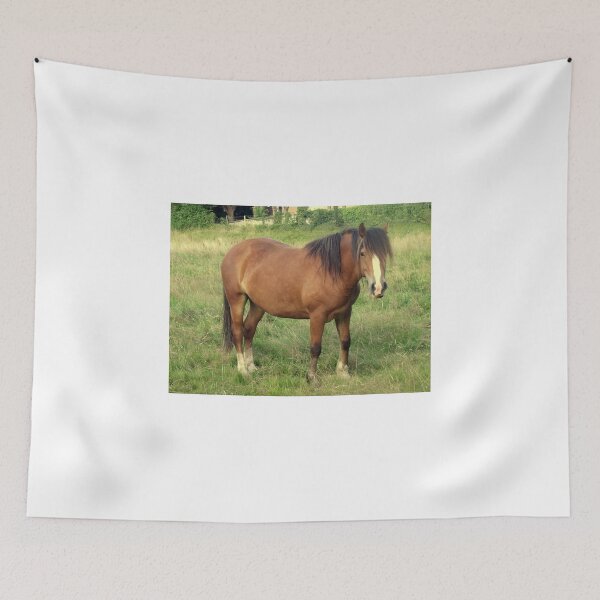 Item preview, A Horse in Llanfairfechan. designed and sold by Michael Haslam.