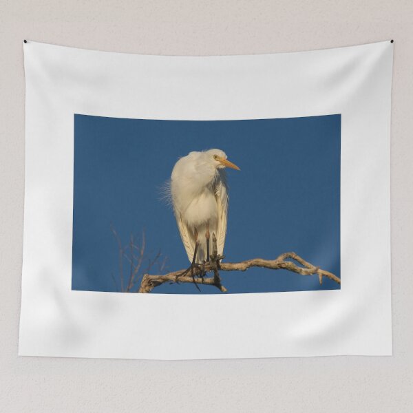 Item preview, Sunset Plumage designed and sold by byronbackyard.