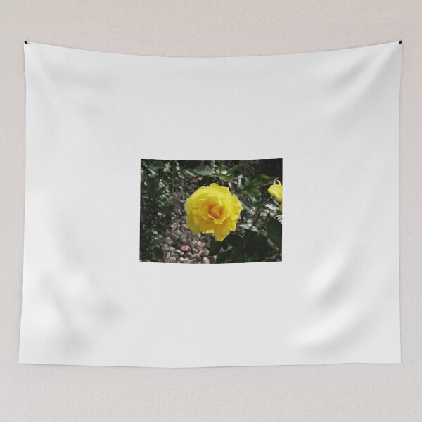 Item preview, Sunlit Yellow Rose designed and sold by MidnightMelody.