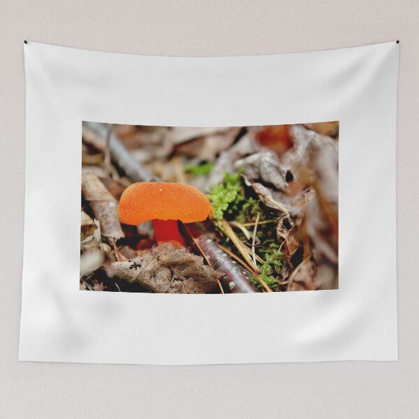 Item preview, What an Orange Delight! designed and sold by Kathleen Daley.