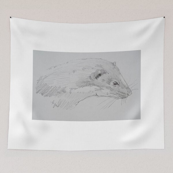 Item preview, Weasel head side view pencil drawing designed and sold by MikeJory.
