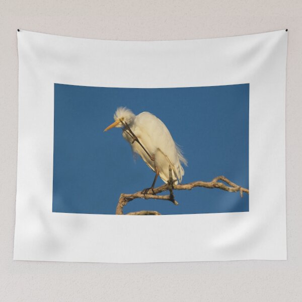 Item preview, No Photos Please designed and sold by byronbackyard.
