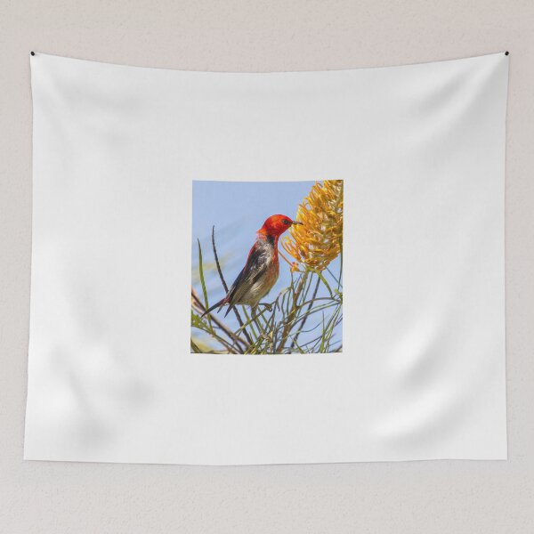 Item preview, Scarlet Honeyeater designed and sold by bidkev1.