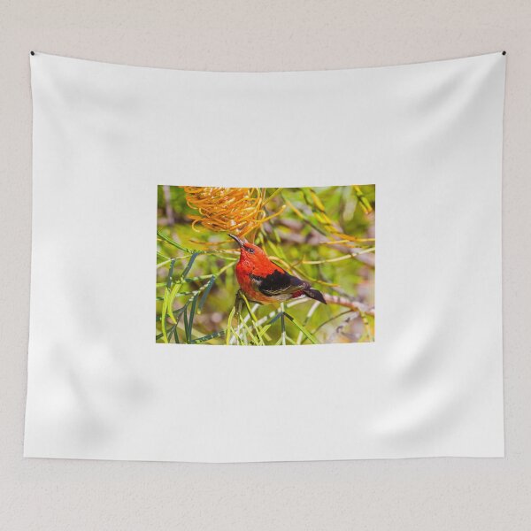 Item preview, Scarlet Honeyeater designed and sold by bidkev1.