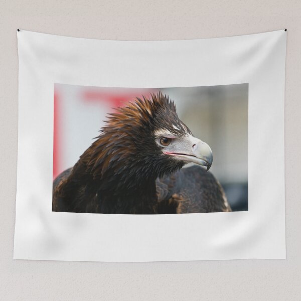 Item preview, Wedge-Tailed Eagle,  designed and sold by bidkev1.