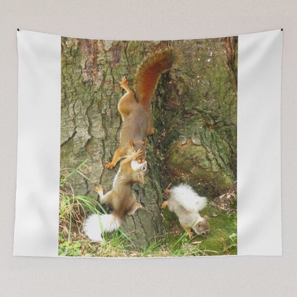 Item preview, The New Adventures Of Cannibal Squirrel designed and sold by artwhiz47.