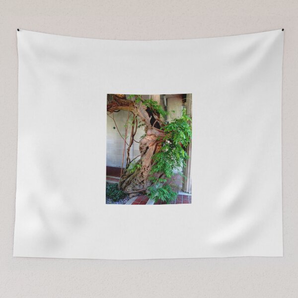 Item preview, 75 Year Old Chinese Wisteria designed and sold by Jane Neill-Hancock.