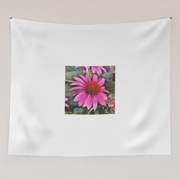 Aperçu de l'œuvre Pink Cone Flower créée et vendue par Scott Mitchell.