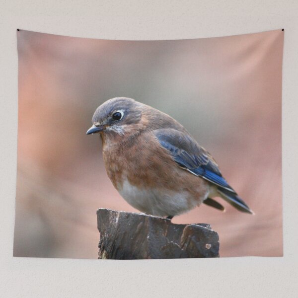 Item preview, Eastern Bluebird designed and sold by Enola Gay Wagner.