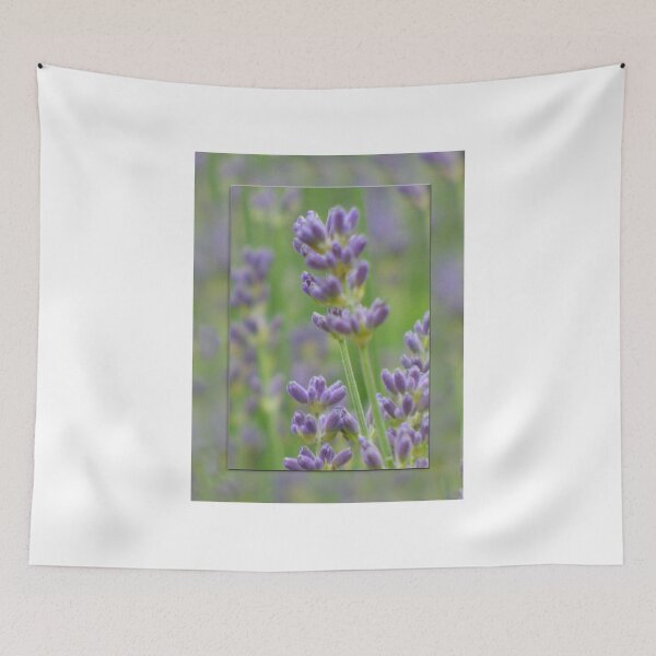 Item preview, Lavender from Brittany designed and sold by Lynn Bolt.