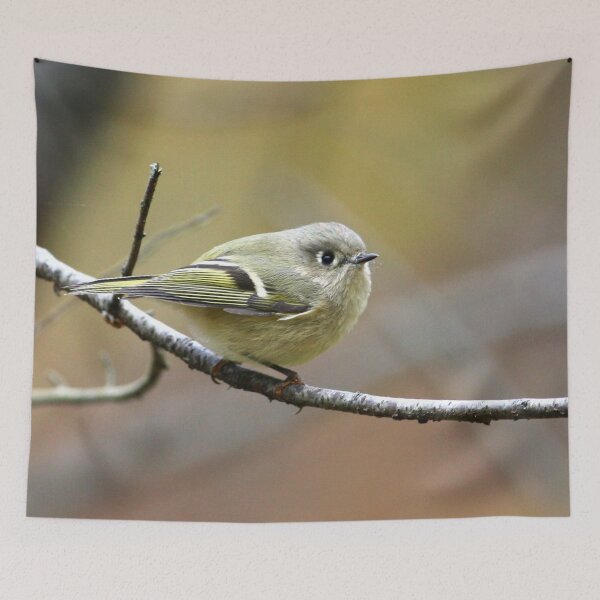 Item preview, Kinglet designed and sold by Enola Gay Wagner.