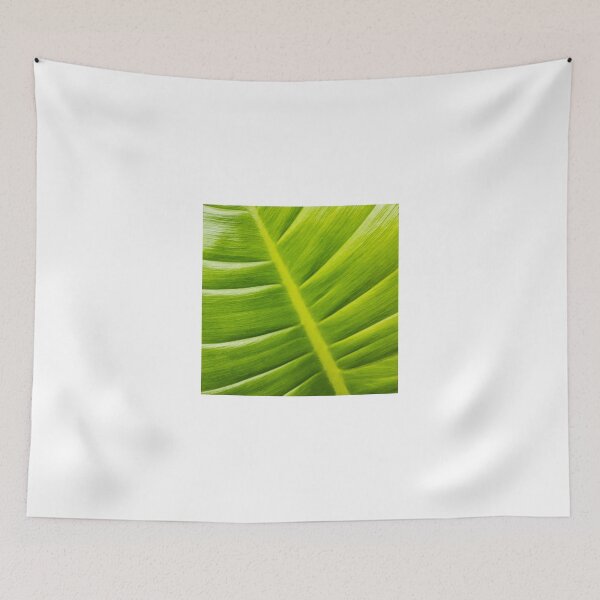 Item preview, Leaf designed and sold by Thaddeus Zajdowicz.
