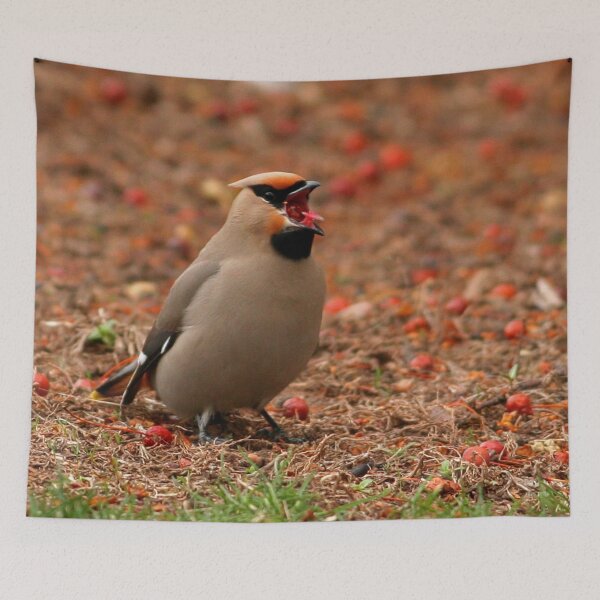 Item preview, Bohemian Waxwing designed and sold by Enola Gay Wagner.
