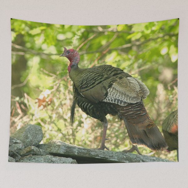 Item preview, Wild Turkey  designed and sold by Enola Gay Wagner.