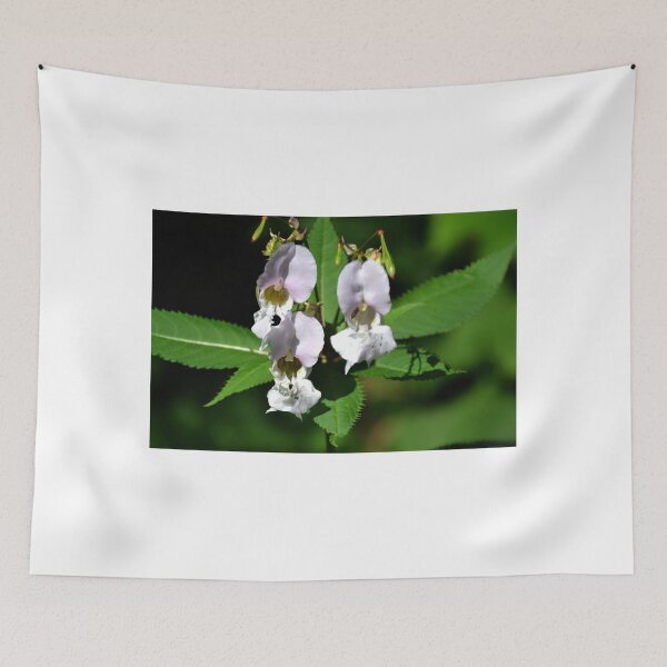 Item preview, Wild Balsam Flowers, Lyme Dorset UK designed and sold by lynn carter.
