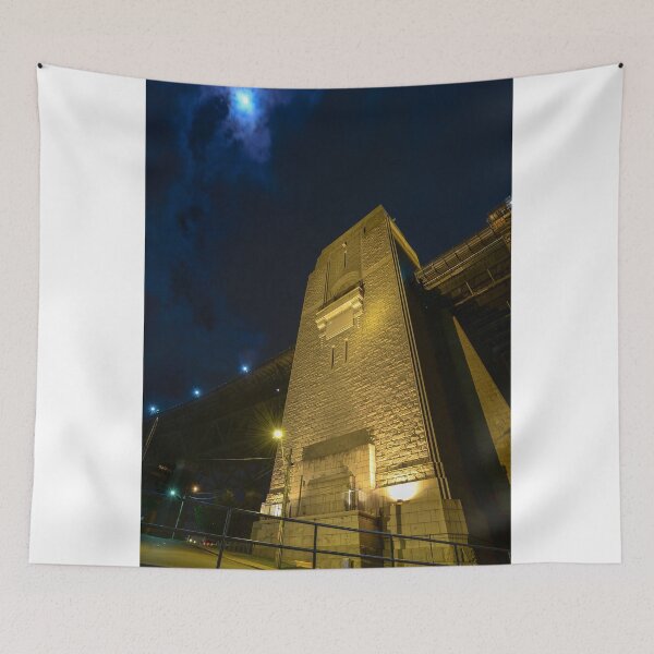 Item preview, Looking up at the moon designed and sold by Roger  Mackertich.