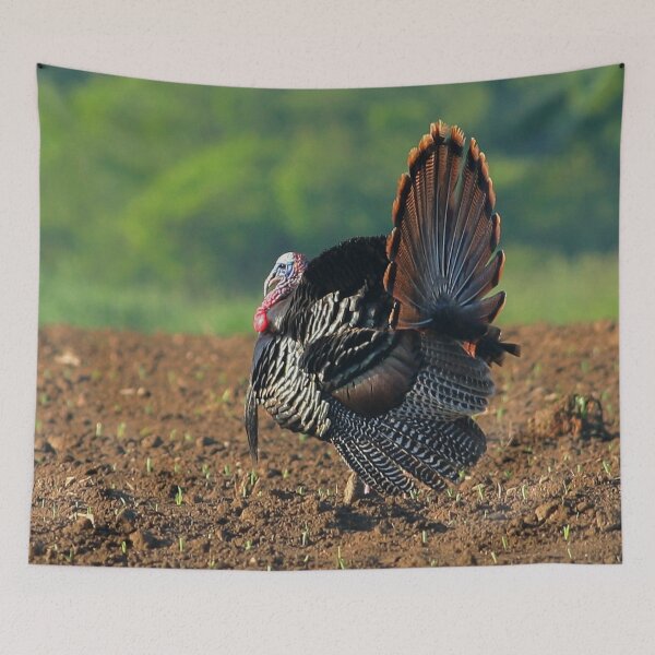 Item preview, Turkey designed and sold by Enola Gay Wagner.