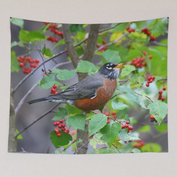 Item preview, Robin designed and sold by Enola Gay Wagner.