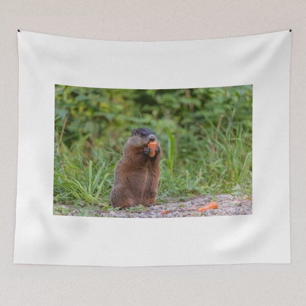 Item preview, Beaver munching on a carrot designed and sold by Josef Pittner.
