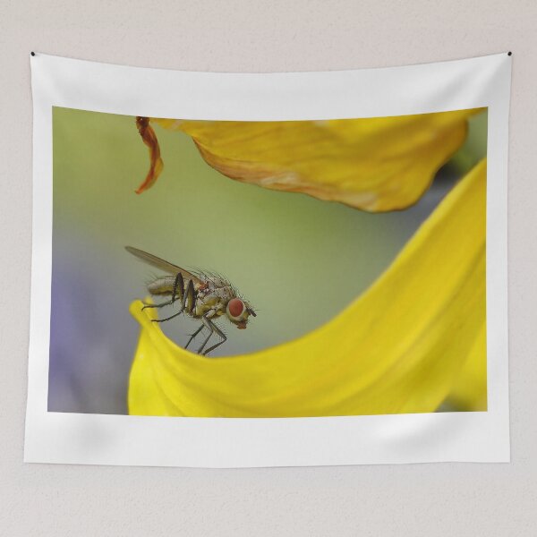 Item preview, Fly on Sunflower Petal designed and sold by relayer51.