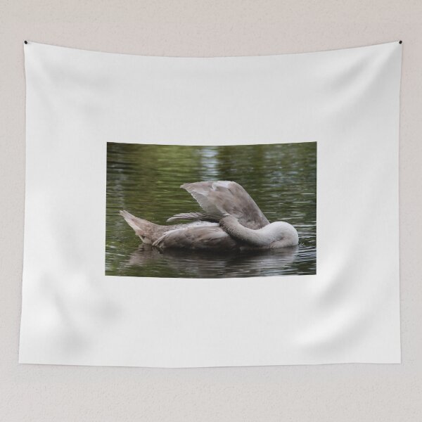 Item preview, To sleep or to preen that is the question designed and sold by Ladymoose.